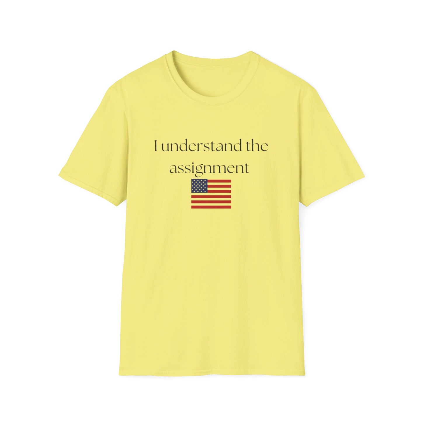 I understand the assignment and flag Unisex Softstyle T-Shirt