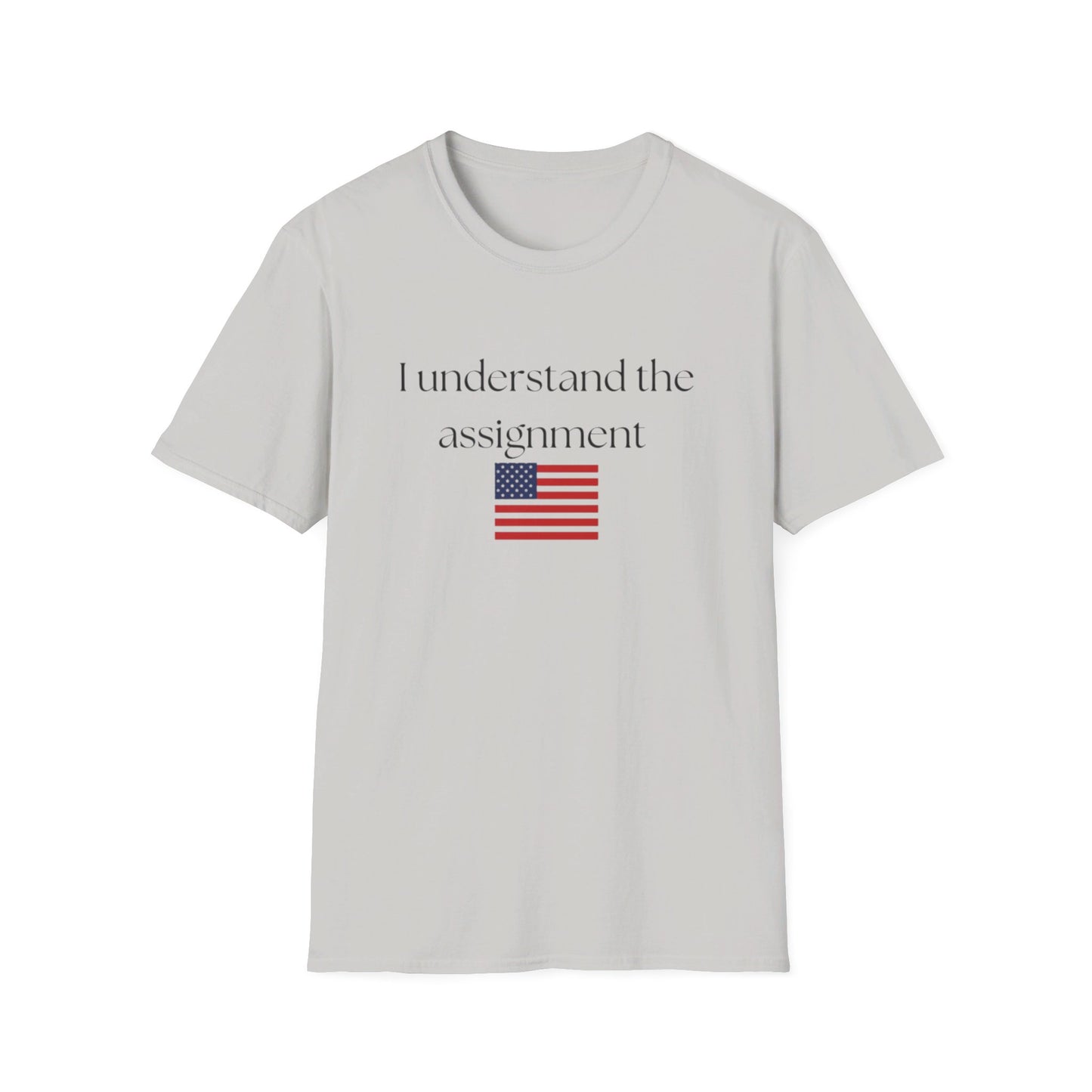 I understand the assignment and flag Unisex Softstyle T-Shirt