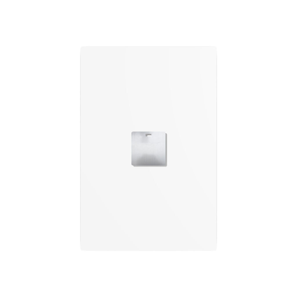 Eggs All the chickens are in Congress Metal Art Sign, Chicken Decor, Farmhouse Wall Art, Rustic Home Sign, Kitchen Decor, protest Sign