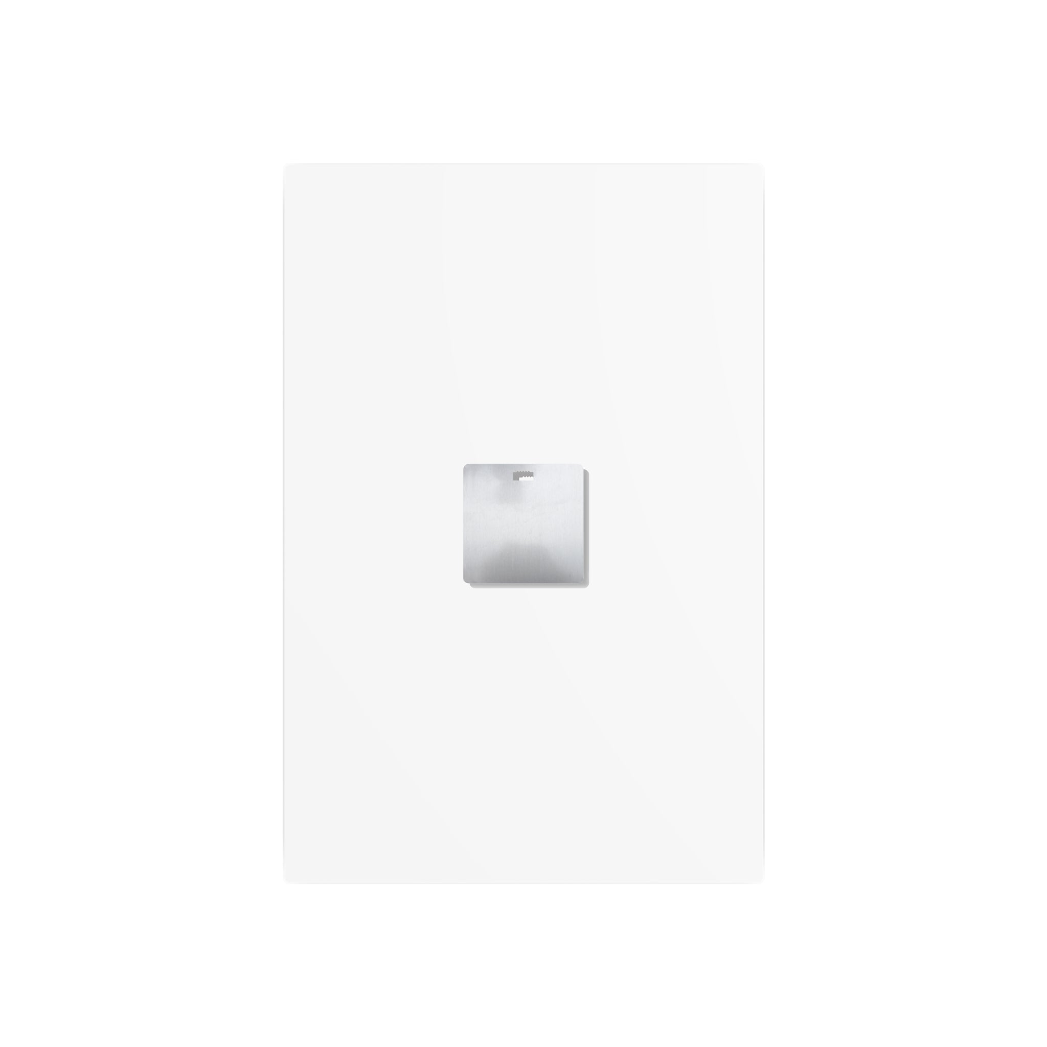 Eggs All the chickens are in Congress Metal Art Sign, Chicken Decor, Farmhouse Wall Art, Rustic Home Sign, Kitchen Decor, protest Sign