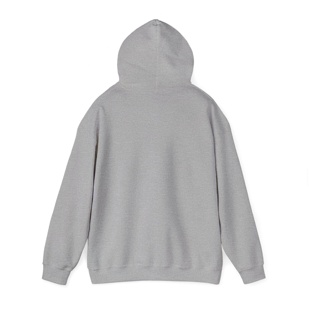8647 anti Trump Political Activist Sweatshirt, Anti-Trump Hoodie, Social Justice Protest, Human Rights, No Kings end Tyranny, Unisex