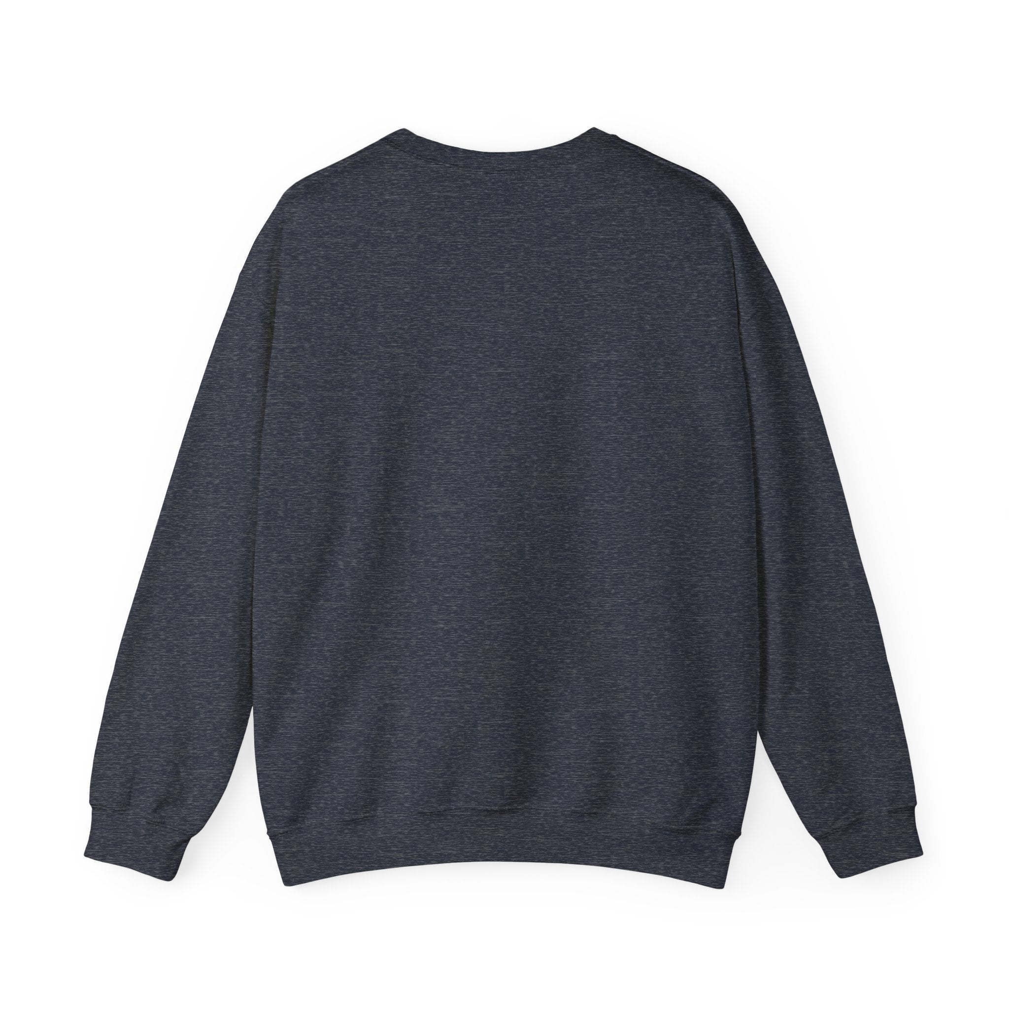 Christmas Sweatshirt - "I Am Santa's Favorite" Festive Crewneck printed