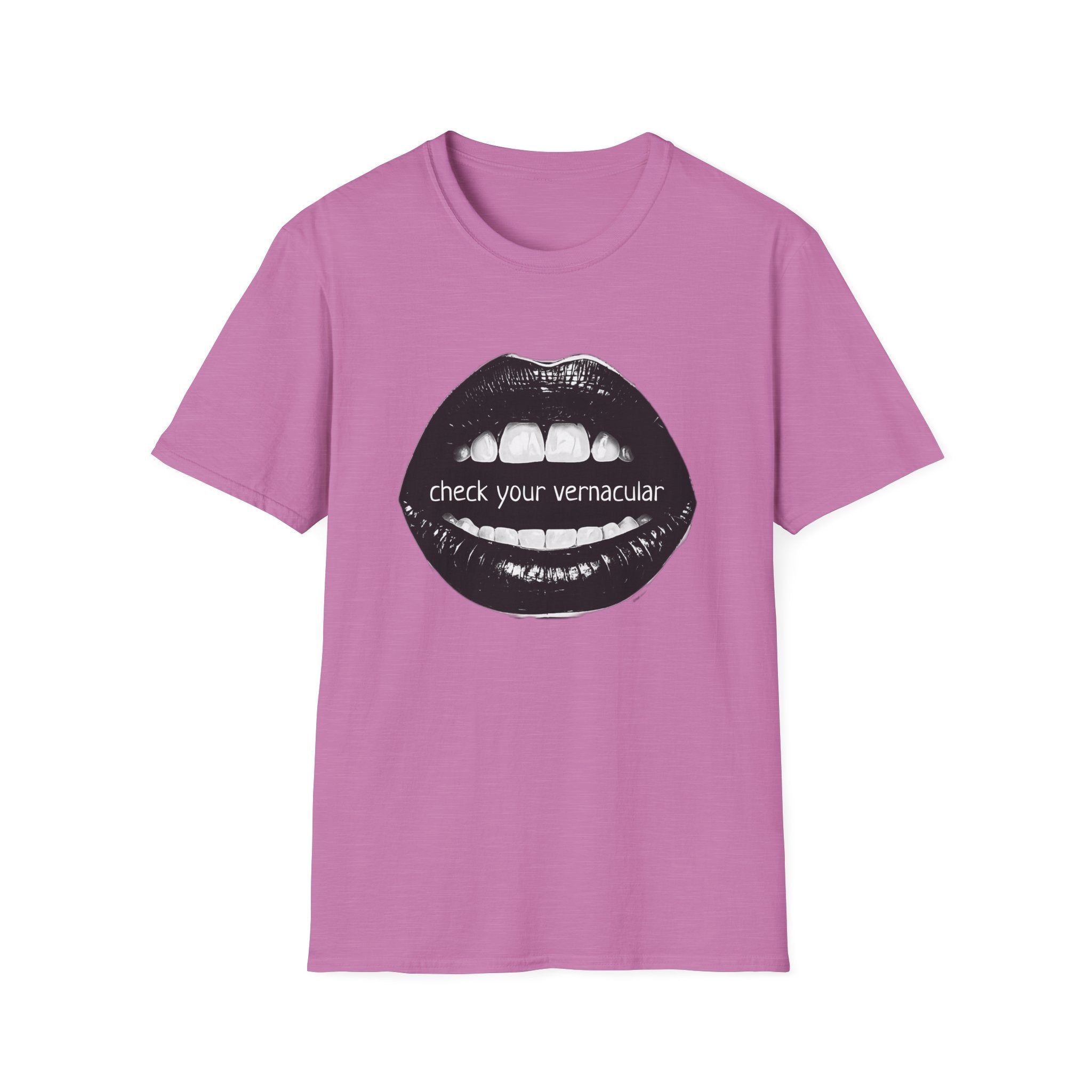 90s Music Lovers Gift Unisex Softstyle T-Shirt, TLC Lyrics Tee, Check Your Vernacular Shirt, Retro Music Fan Clothing, Vintage R&B Top