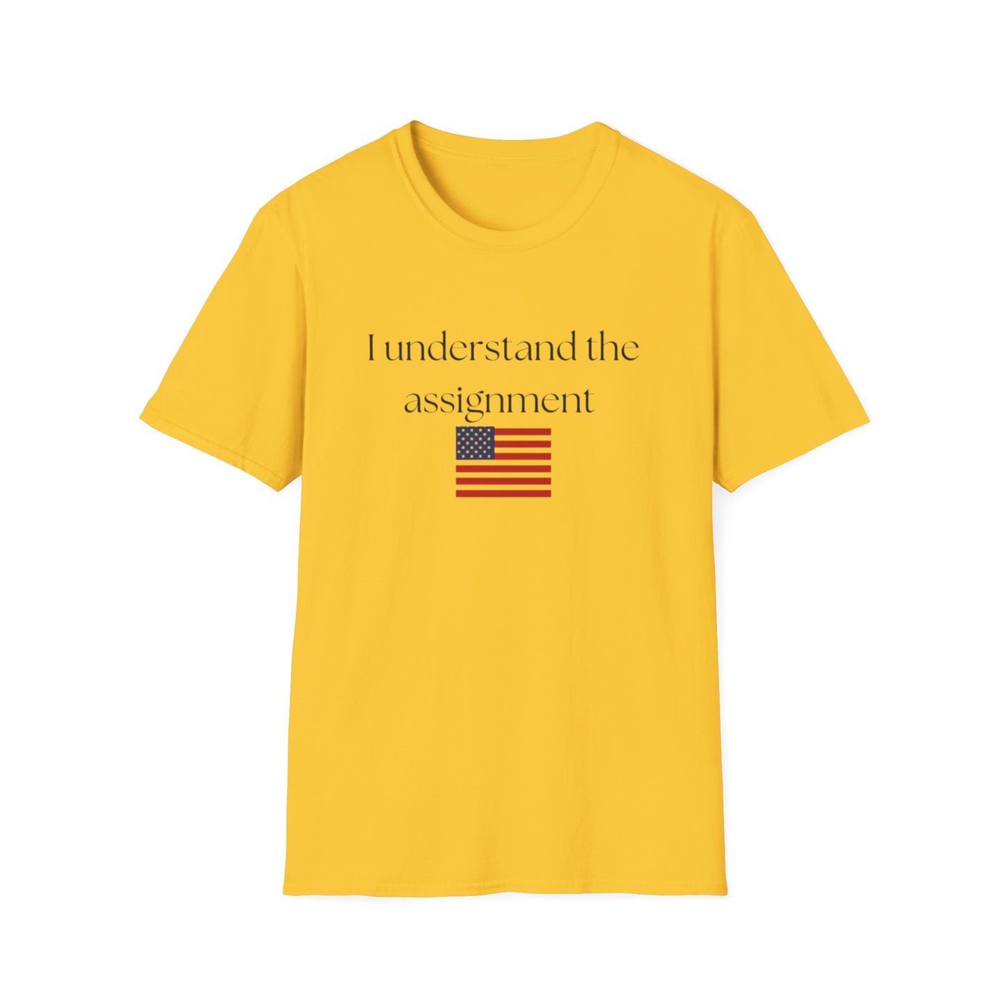 I understand the assignment and flag Unisex Softstyle T-Shirt