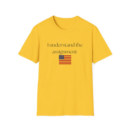 I understand the assignment and flag Unisex Softstyle T-Shirt