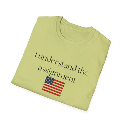 I understand the assignment and flag Unisex Softstyle T-Shirt