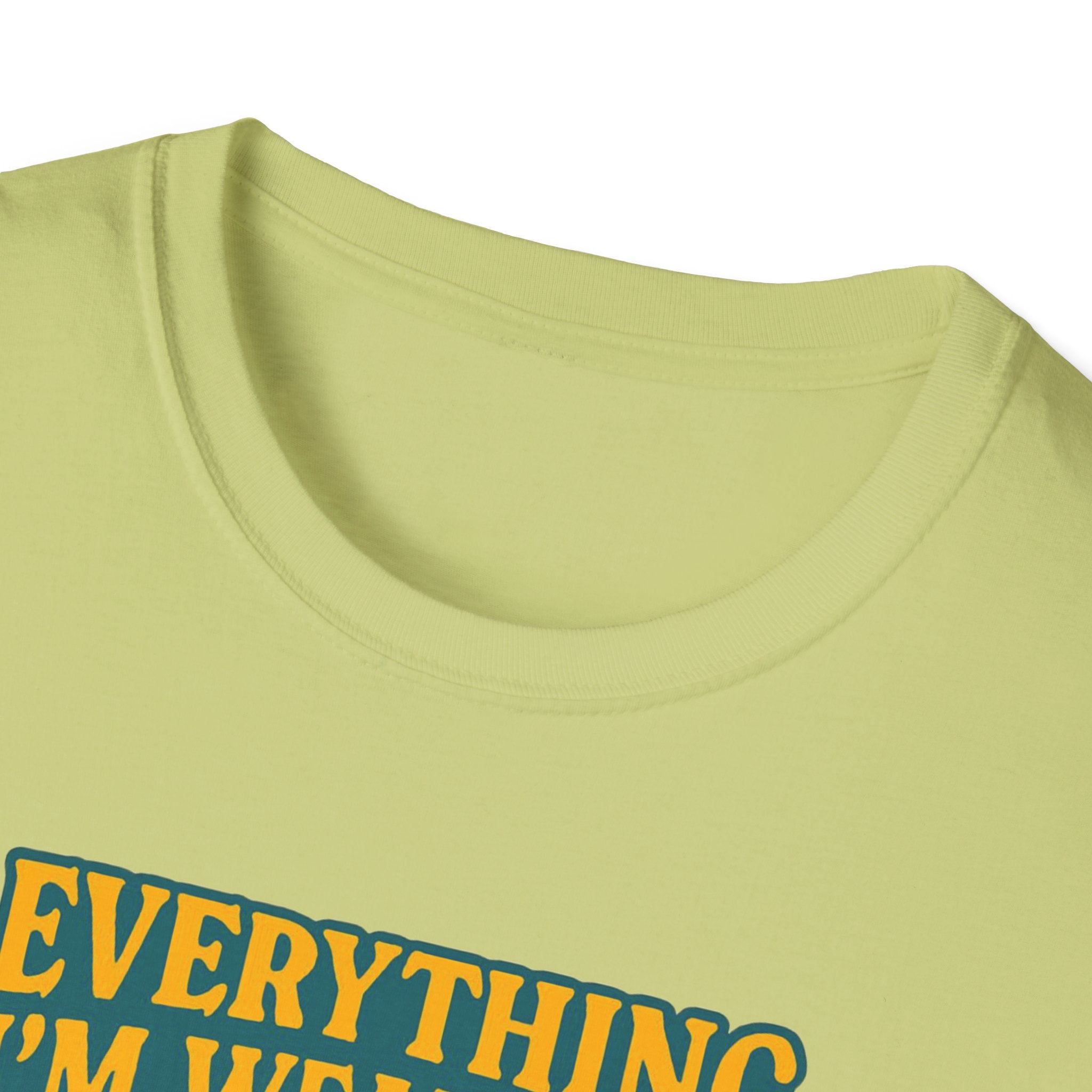 Thrifted cat Vintage Vibes Unisex Softstyle T-Shirt, Thrifted Fashion, Sustainable Clothing, Secondhand Style Tee, Bee Eco-Friendly Shirt