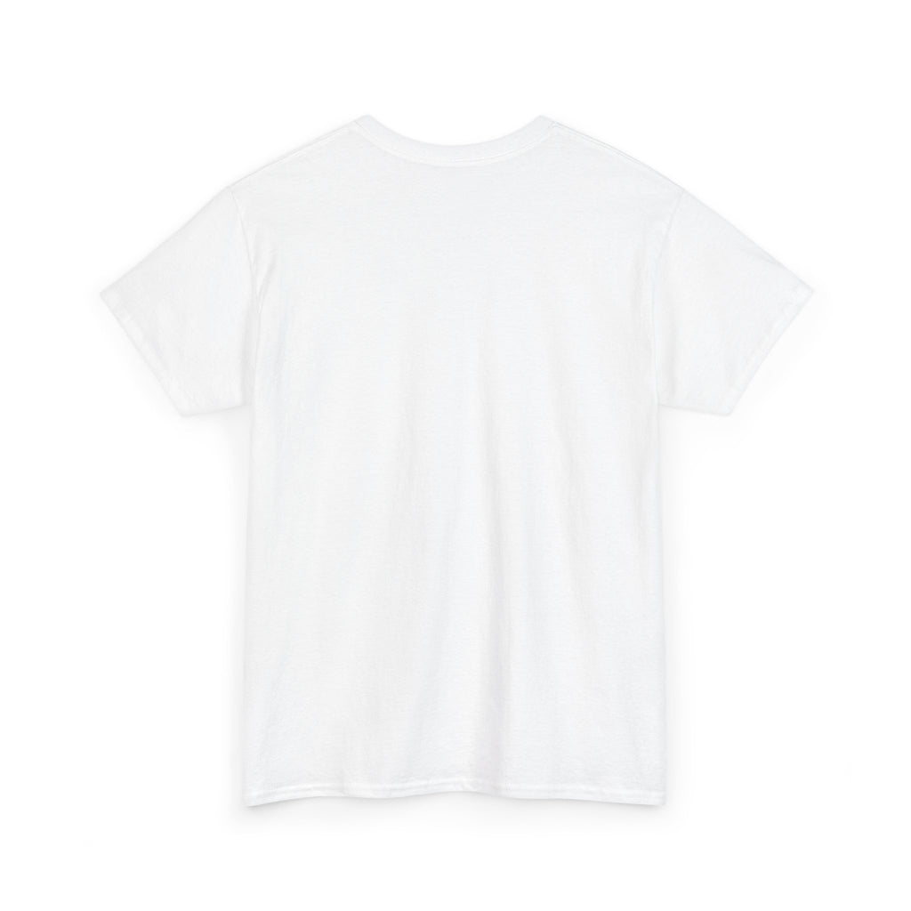 The only qualified person Trump ever hired was Stormy Daniels Anti-Trump Tee, Activist Apparel, Resist Clothing, Protest Shirt