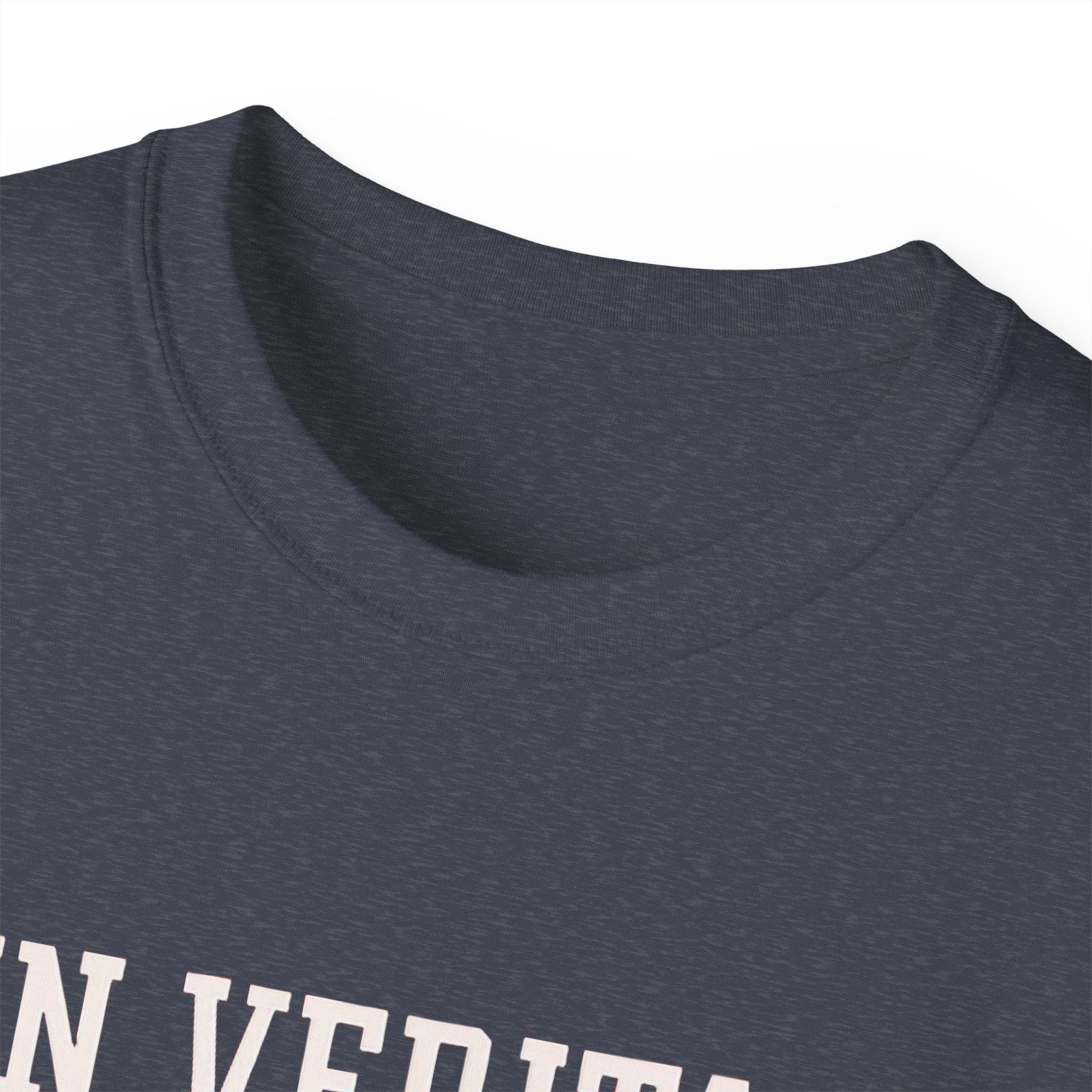 In Veritas We Trust Harvard Anti Trump, Protest Shirt, Political Activist Gift, Statement Tee, College Shirt