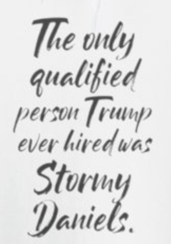 The only qualified person Trump ever hired was Stormy Daniels Anti-Trump Tee, Activist Apparel, Resist Clothing, Protest Shirt