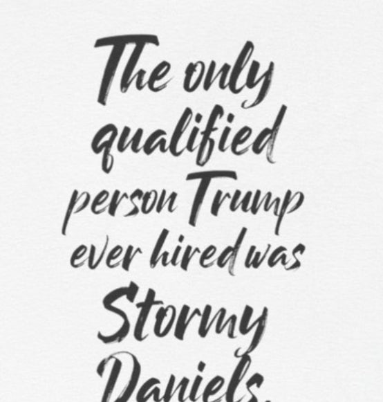 The only qualified person Trump ever hired was Stormy Daniels Political Tea Towel, Novelty Tea Towel, White House Cleaning Cloth