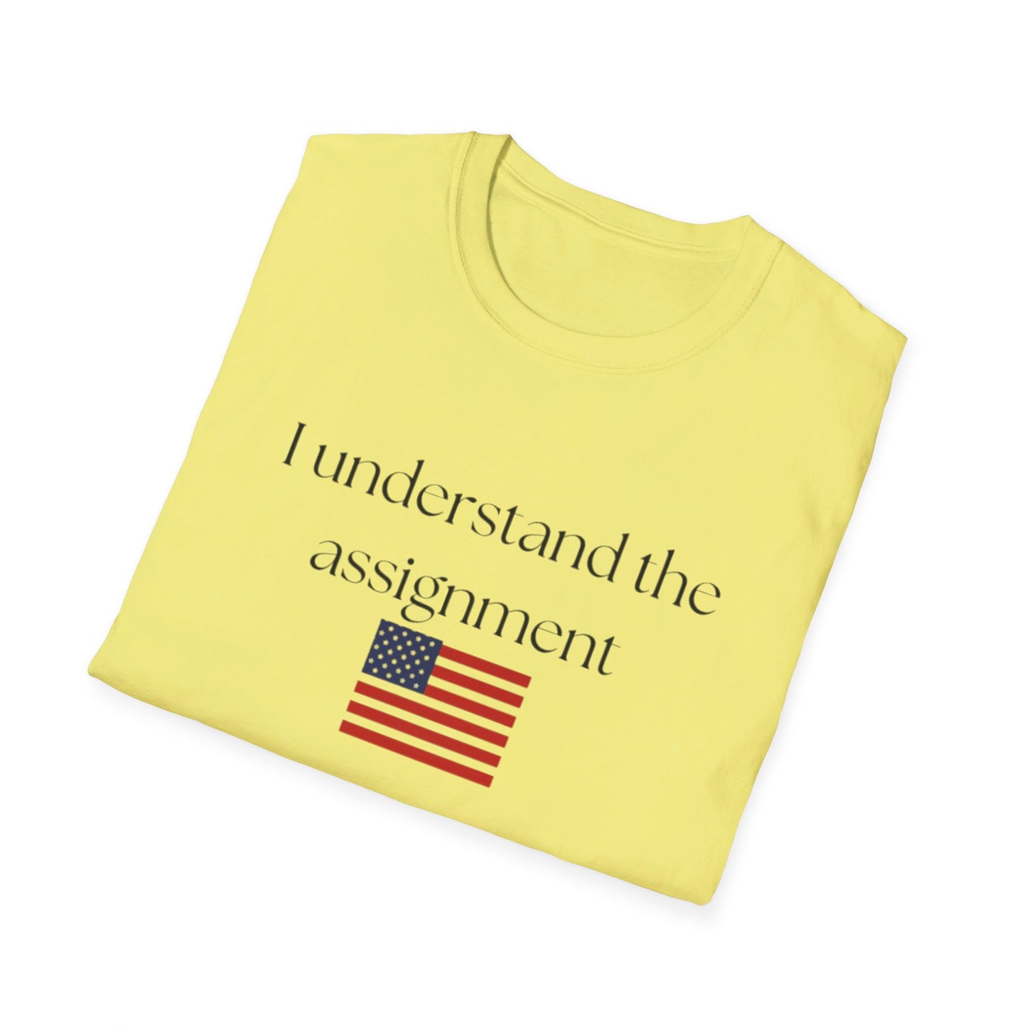 I understand the assignment and flag Unisex Softstyle T-Shirt