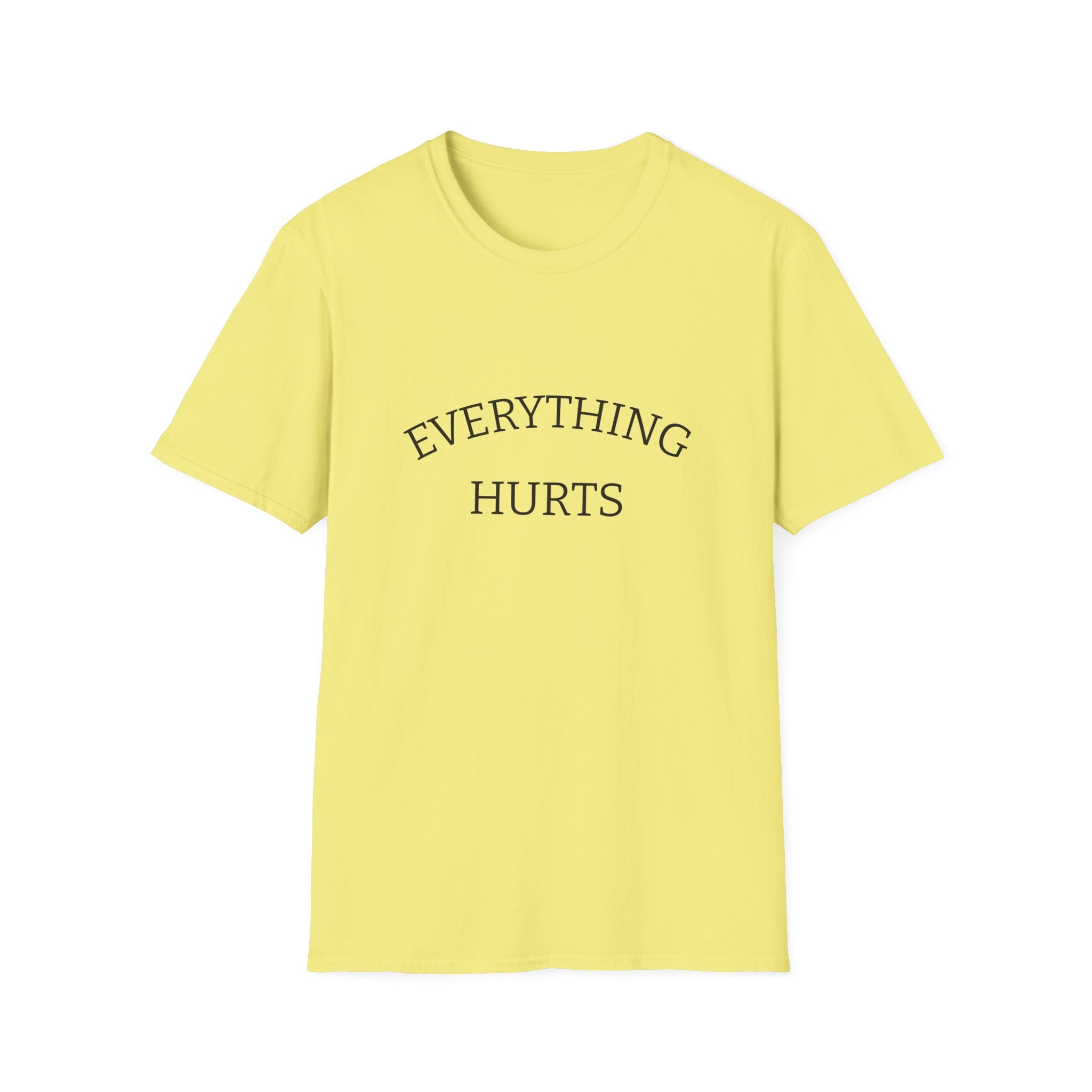 Everything Hurts Funny Workout Fitness gym Unisex Softstyle T-Shirt, Retirement Gift, Getting Old, Fitness Gift aches and pains