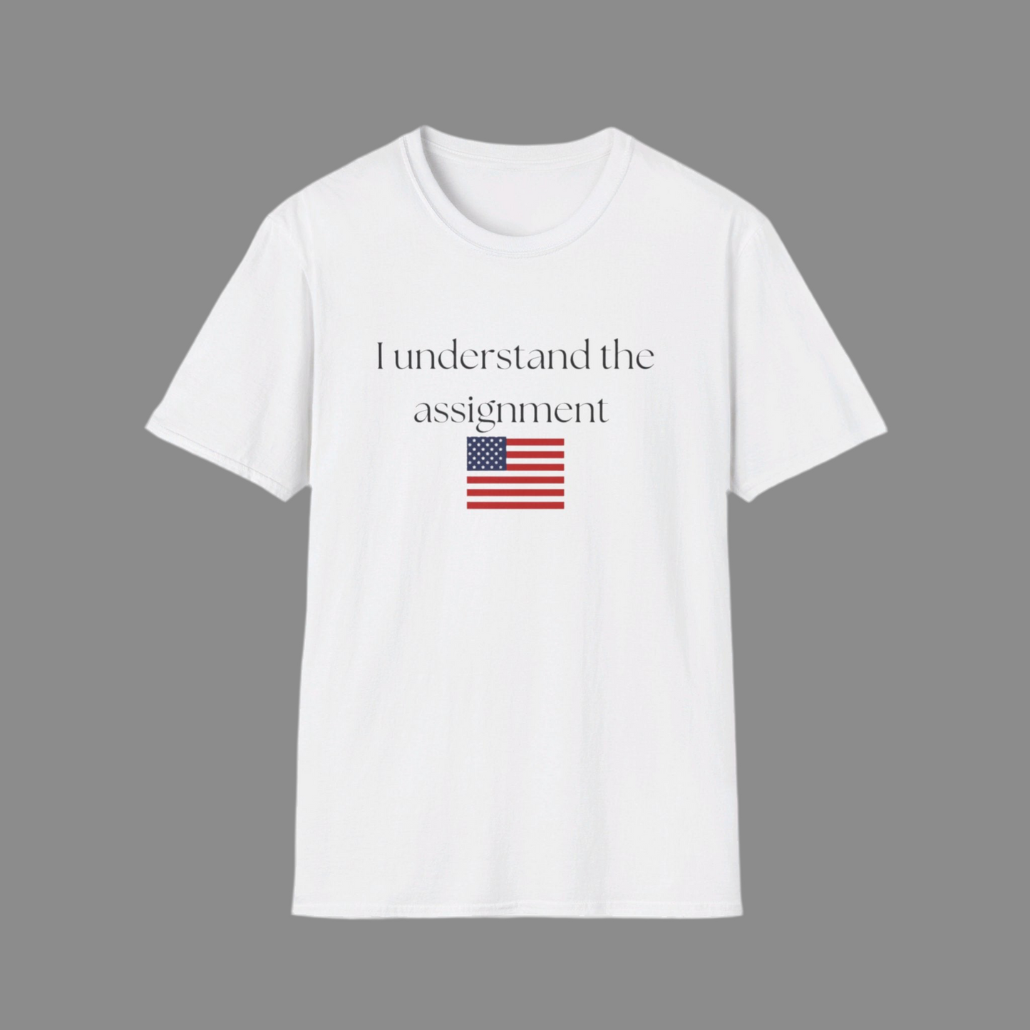 I understand the assignment and flag Unisex Softstyle T-Shirt