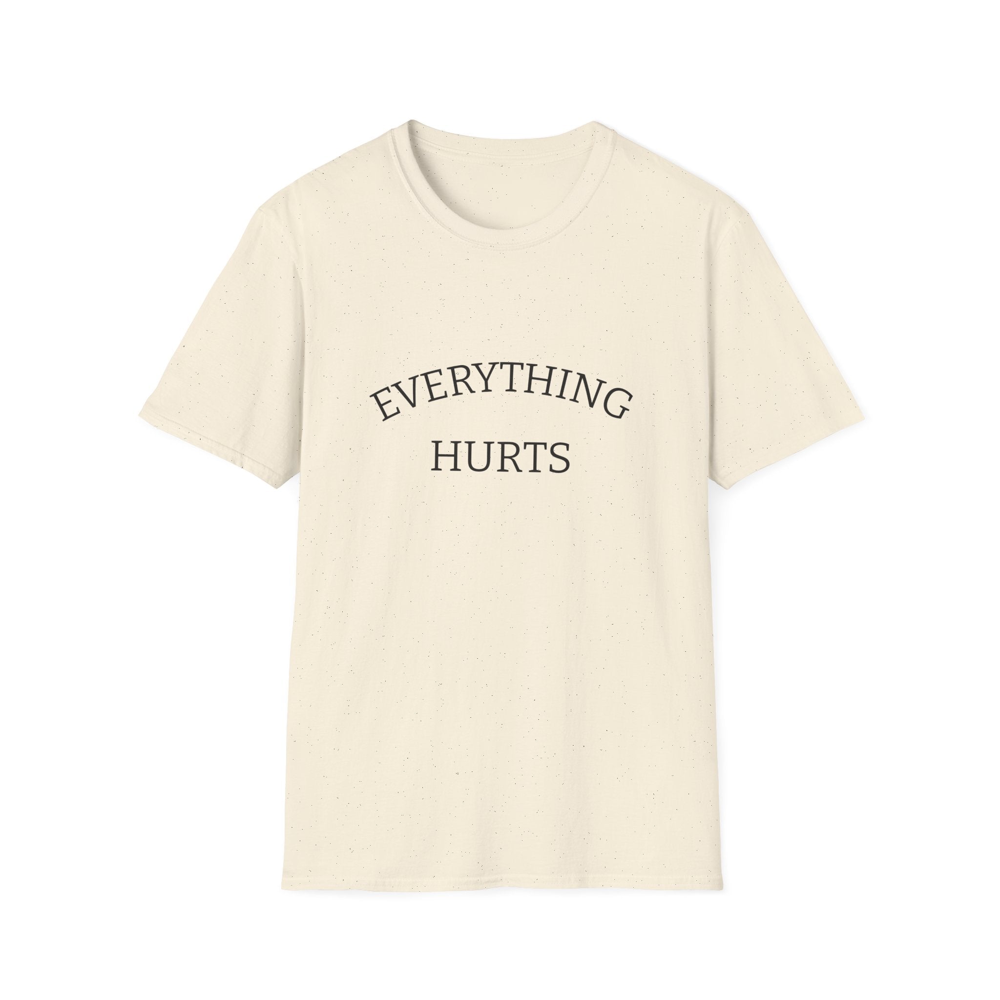Everything Hurts Funny Workout Fitness gym Unisex Softstyle T-Shirt, Retirement Gift, Getting Old, Fitness Gift aches and pains