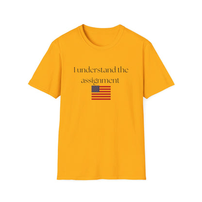 I understand the assignment and flag Unisex Softstyle T-Shirt