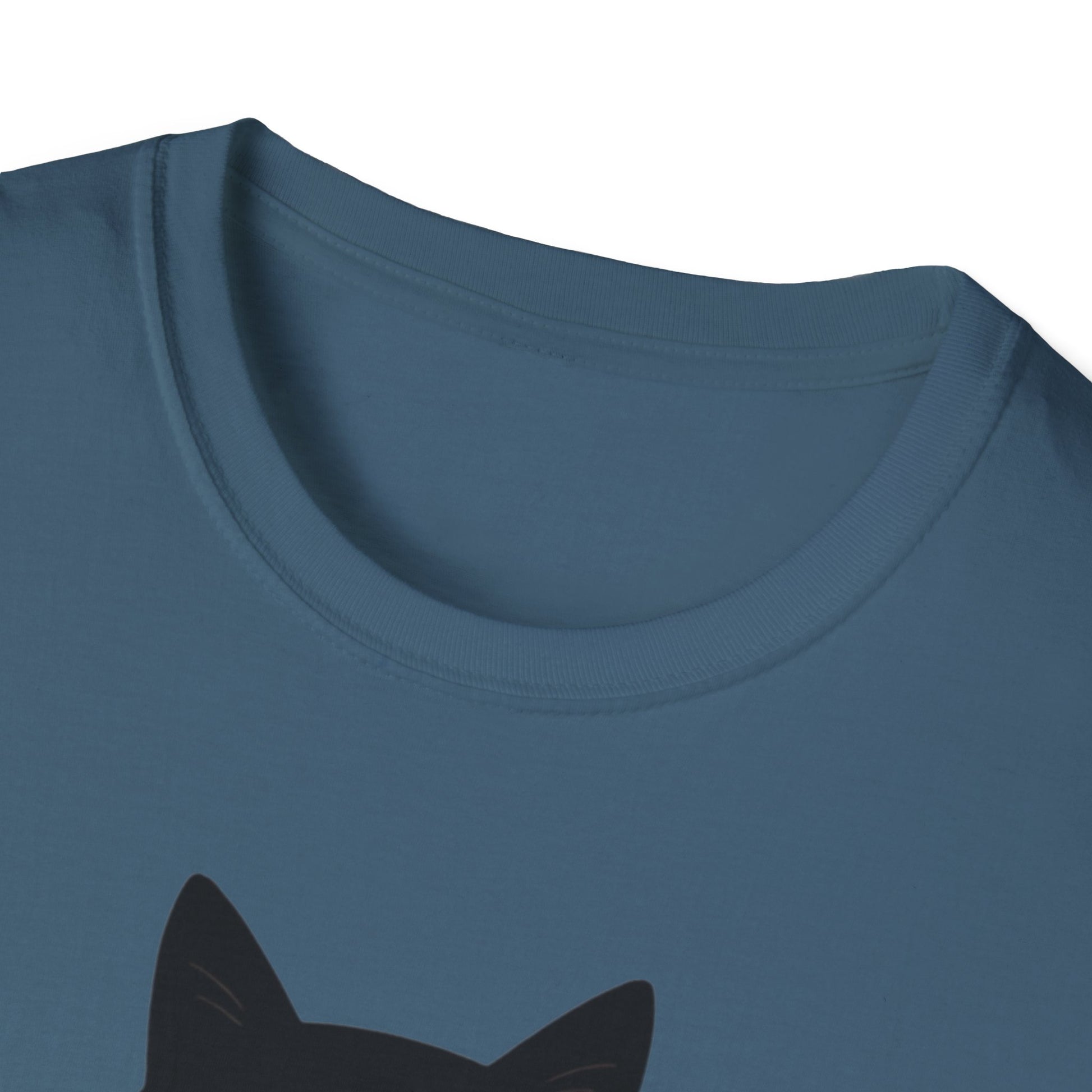 Political Cat Lover Unisex Softstyle T-Shirt, Anti-Trump Activist Tee, Social Justice Protest Shirt activist gift protest No Kings