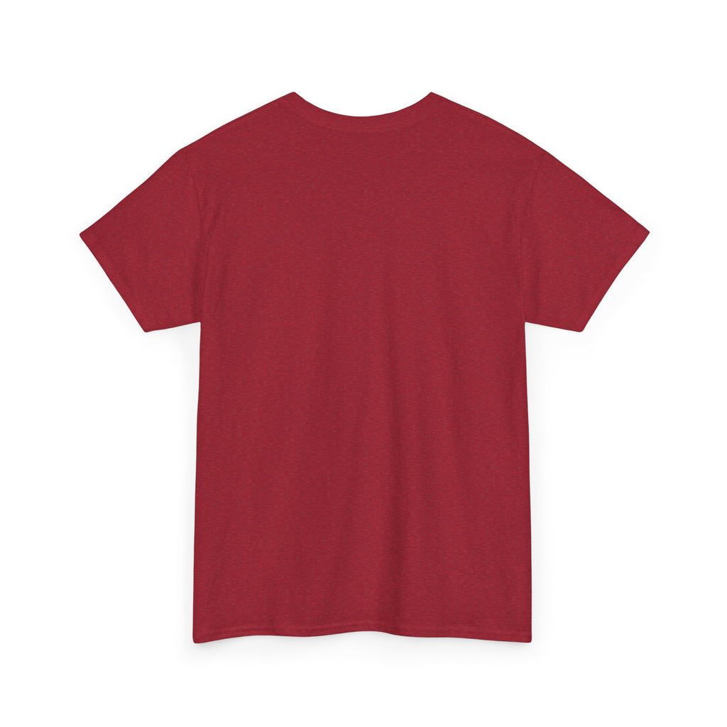 The only qualified person Trump ever hired was Stormy Daniels Anti-Trump Tee, Activist Apparel, Resist Clothing, Protest Shirt