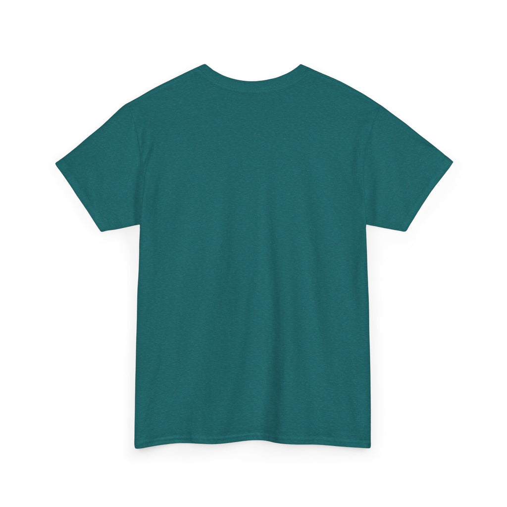The only qualified person Trump ever hired was Stormy Daniels Anti-Trump Tee, Activist Apparel, Resist Clothing, Protest Shirt