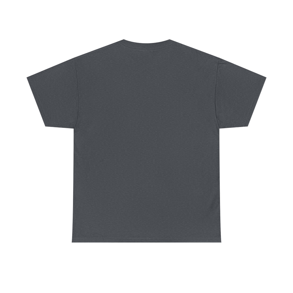 The only qualified person Trump ever hired was Stormy Daniels Anti-Trump Tee, Activist Apparel, Resist Clothing, Protest Shirt