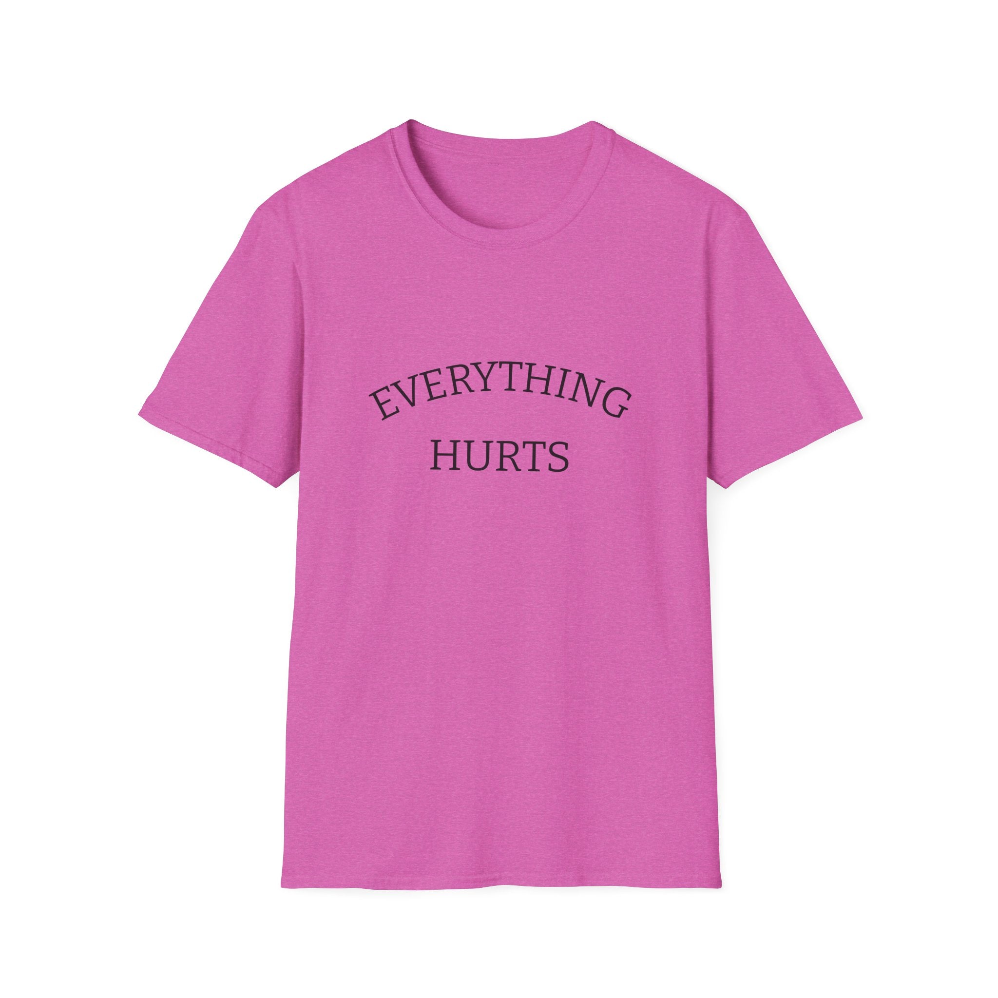 Everything Hurts Funny Workout Fitness gym Unisex Softstyle T-Shirt, Retirement Gift, Getting Old, Fitness Gift aches and pains