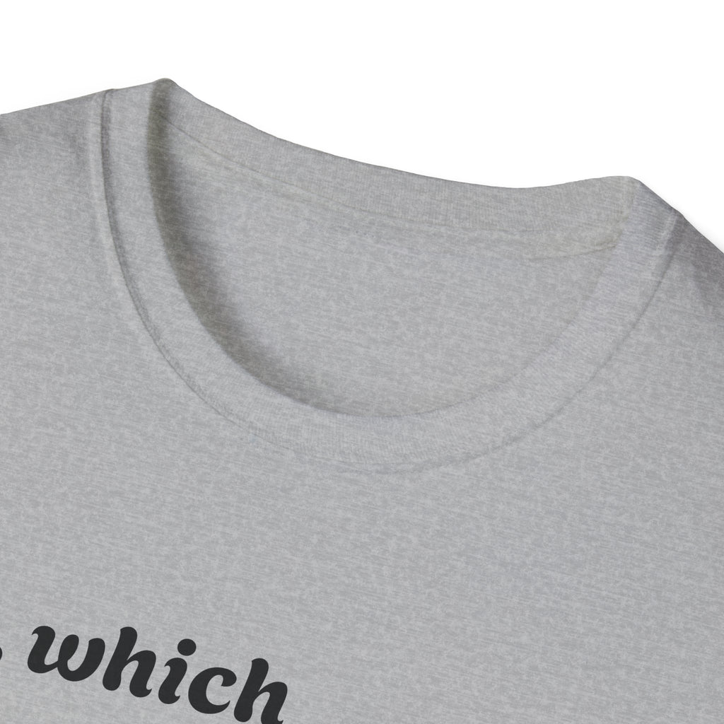 So what crimes get you deported or elected Activist Unisex Soft T-Shirt, Protest Tee, Resistance Shirt, Social Justice, Anti Trump Clothing