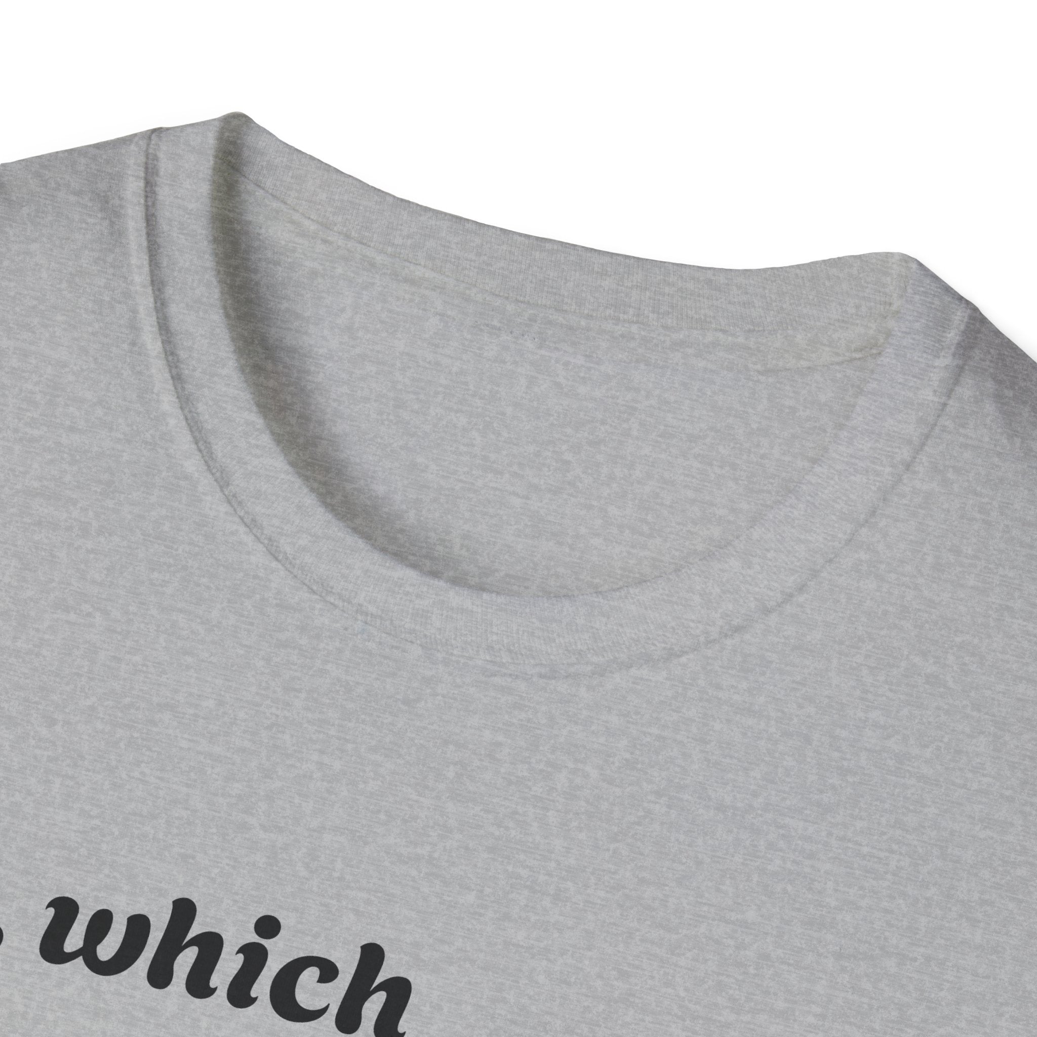 So what crimes get you deported or elected Activist Unisex Soft T-Shirt, Protest Tee, Resistance Shirt, Social Justice, Anti Trump Clothing