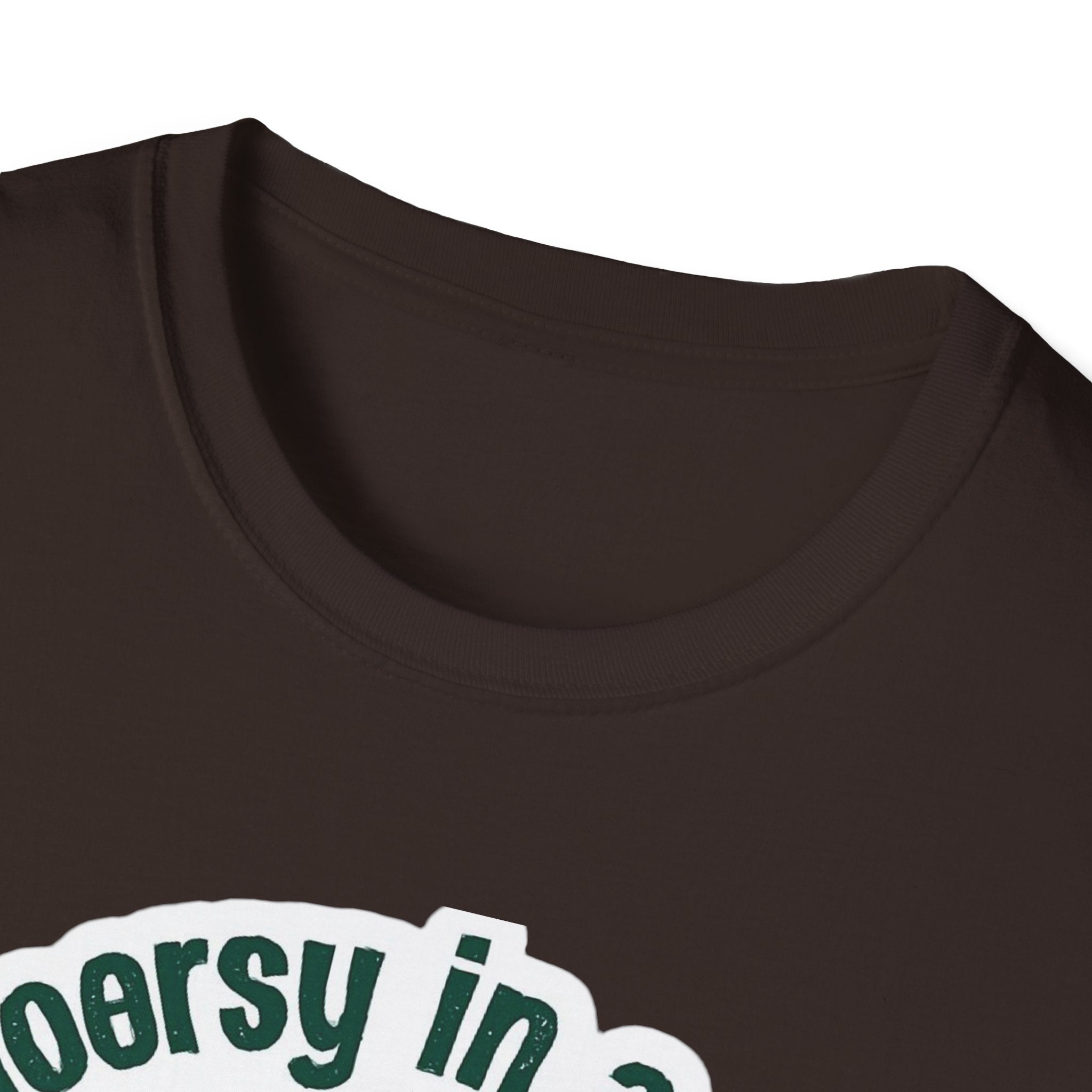 Camp Flaming Arrow Pride T-Shirt, Ptown carnival Gay Outdoorsy in a gay way, LGBTQ+ Camping Gear, Summer Festival Top, Unisex Graphic Tee