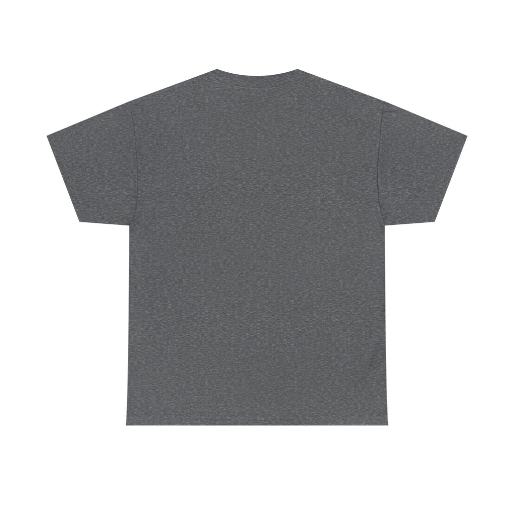 The only qualified person Trump ever hired was Stormy Daniels Anti-Trump Tee, Activist Apparel, Resist Clothing, Protest Shirt
