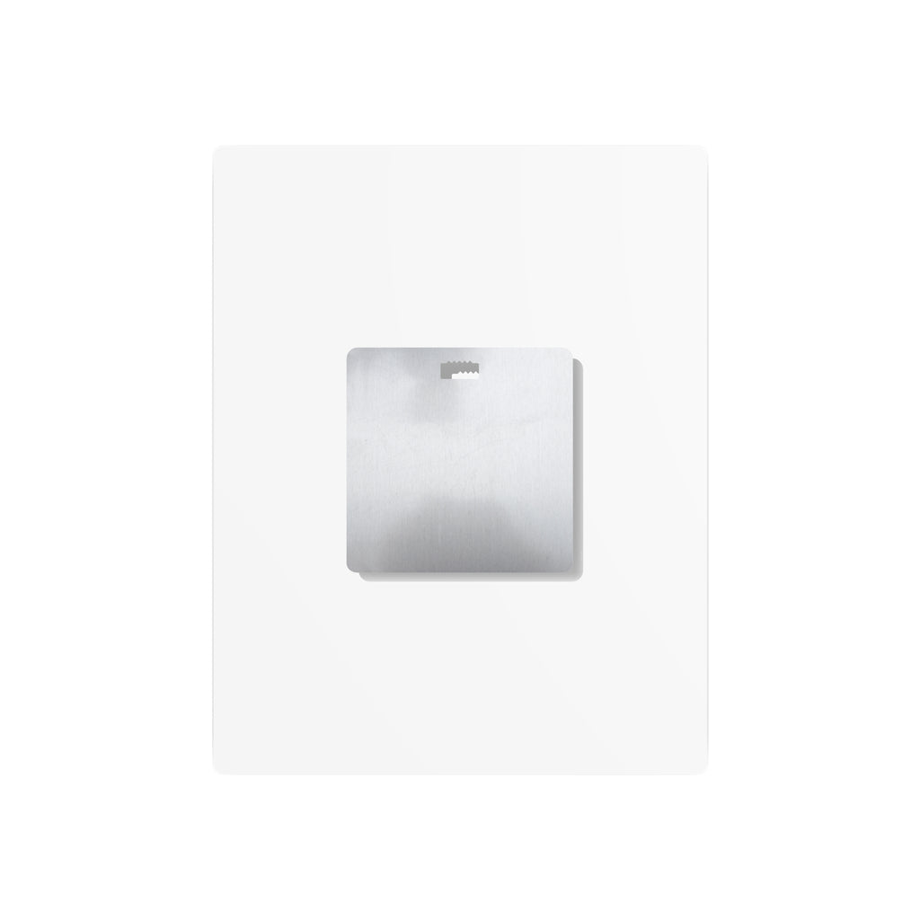 Eggs All the chickens are in Congress Metal Art Sign, Chicken Decor, Farmhouse Wall Art, Rustic Home Sign, Kitchen Decor, protest Sign