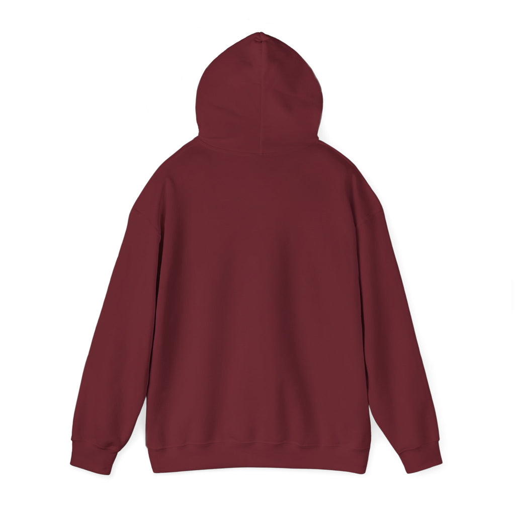8647 anti Trump Political Activist Sweatshirt, Anti-Trump Hoodie, Social Justice Protest, Human Rights, No Kings end Tyranny, Unisex