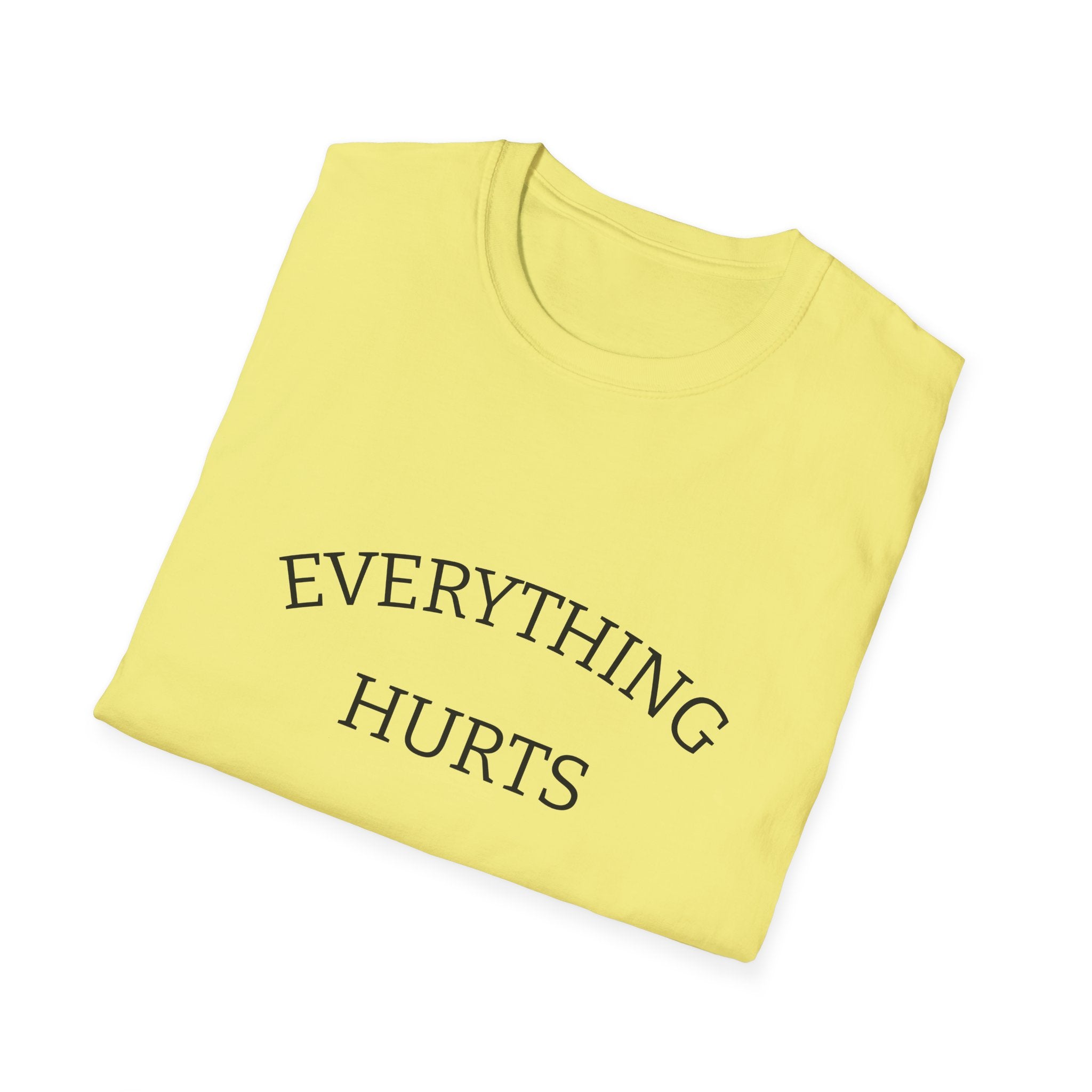 Everything Hurts Funny Workout Fitness gym Unisex Softstyle T-Shirt, Retirement Gift, Getting Old, Fitness Gift aches and pains