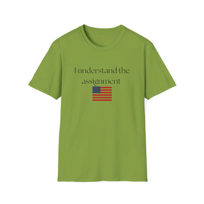 I understand the assignment and flag Unisex Softstyle T-Shirt