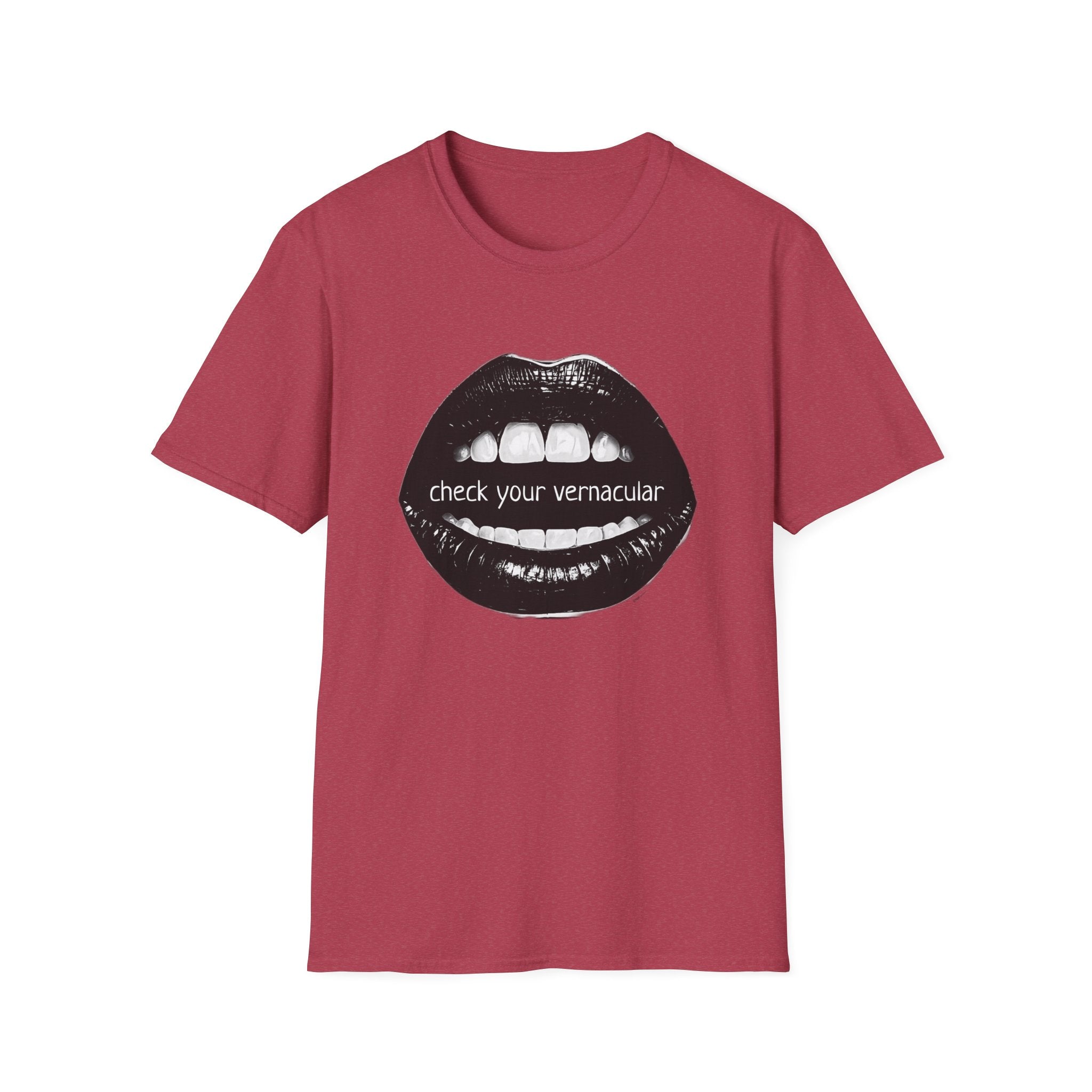 90s Music Lovers Gift Unisex Softstyle T-Shirt, TLC Lyrics Tee, Check Your Vernacular Shirt, Retro Music Fan Clothing, Vintage R&B Top