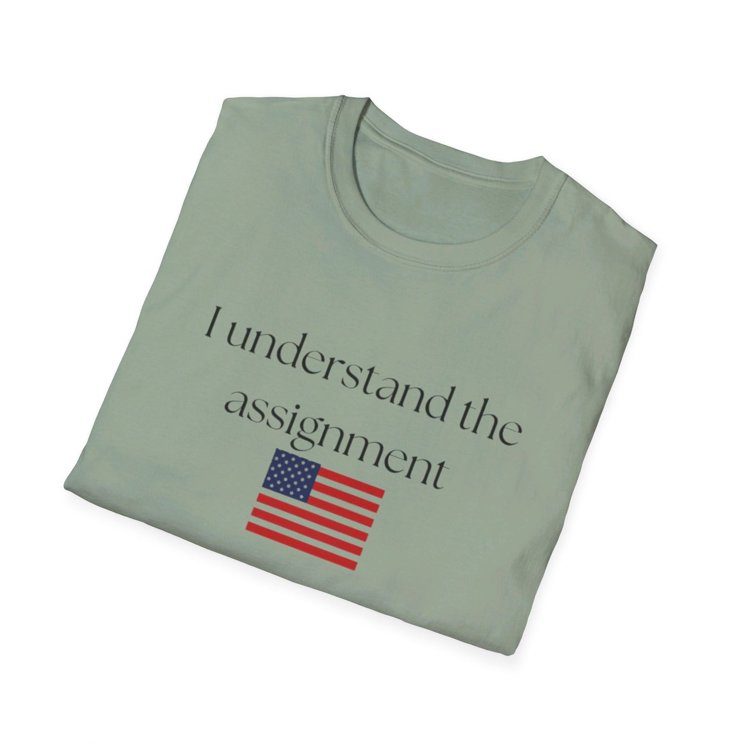 I understand the assignment and flag Unisex Softstyle T-Shirt