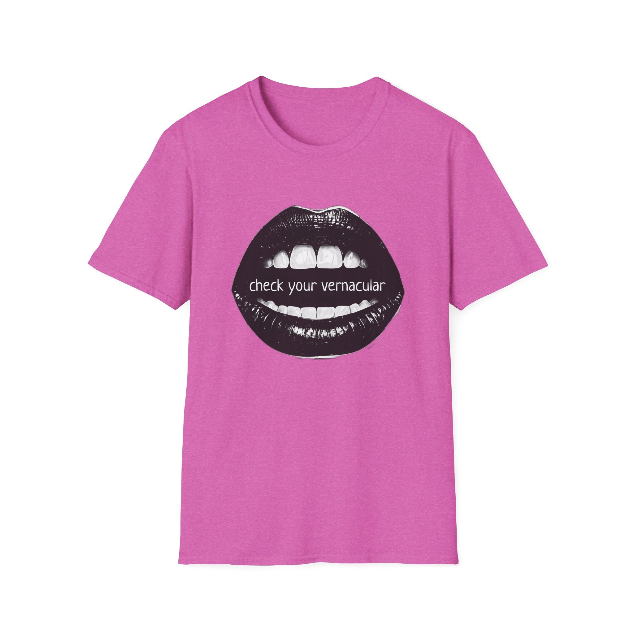 90s Music Lovers Gift Unisex Softstyle T-Shirt, TLC Lyrics Tee, Check Your Vernacular Shirt, Retro Music Fan Clothing, Vintage R&B Top