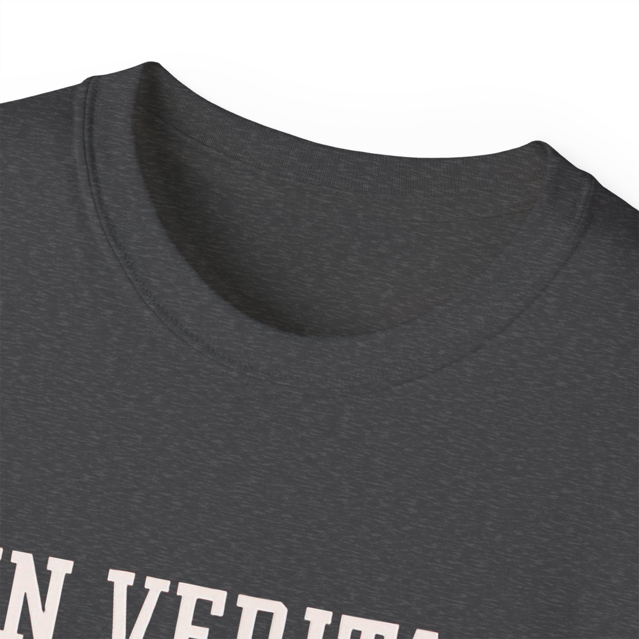 In Veritas We Trust Harvard Anti Trump, Protest Shirt, Political Activist Gift, Statement Tee, College Shirt